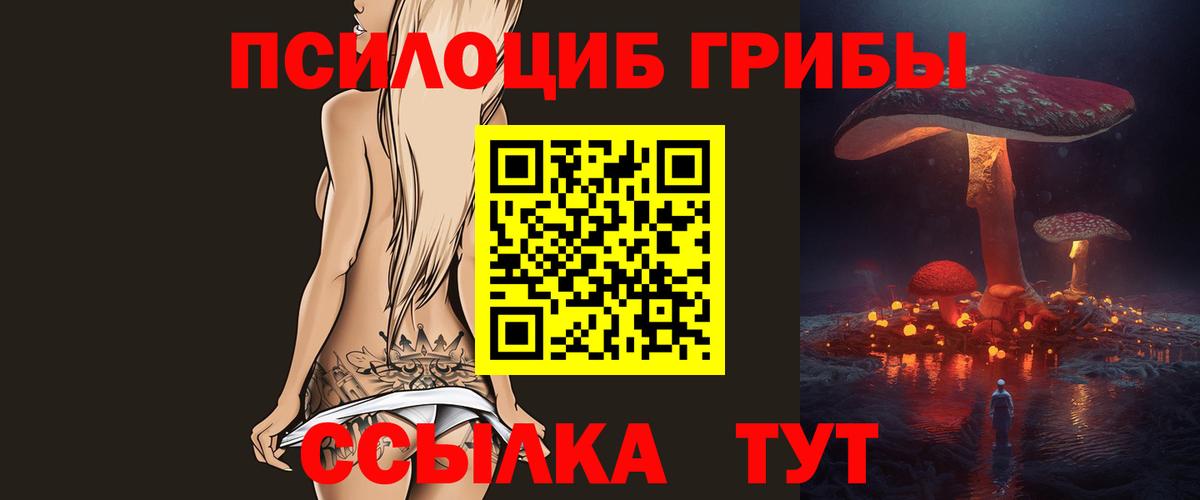 Сосновоборск  Псилоцибиновые грибы MAGIC MUSHROOMS  Вход с VPN  Псилоцибиновые грибы Cubensis 